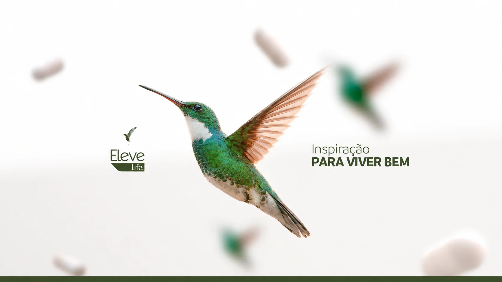 Eleve Life, reposicionamento de marca: peça 1 de 12